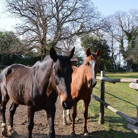 Tenuta Buon Respiro Gospodarstwo agroturystyczne Orvieto